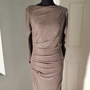 Betsy Adams Womens Formal metallic color long Gown w/cape. Size 6 new with tags